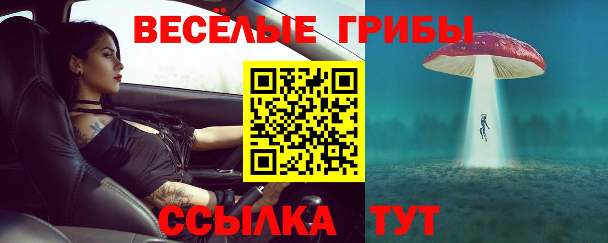 Псилоцибиновые грибы Psilocybine cubensis  купить наркоту  Электрогорск  Вход с VPN 